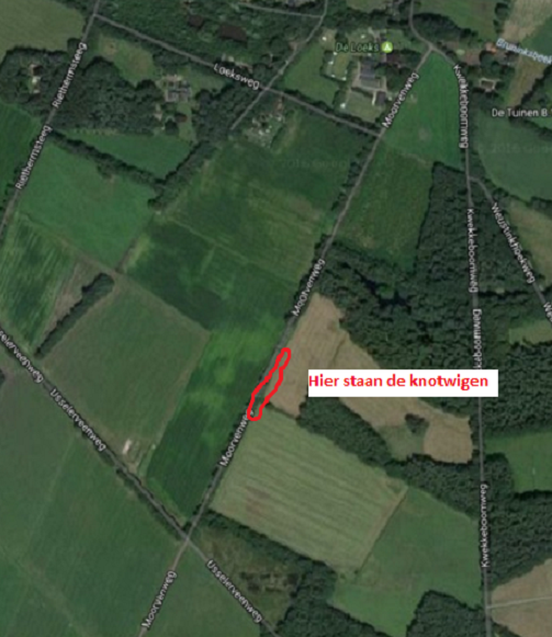 Kaartje met de locatie voor het knotten