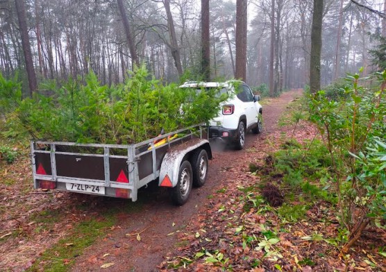 Auto met aanhanger vol met Douglas