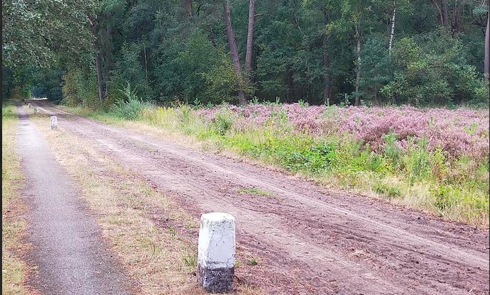 Oude Buurserdijk met bermbegroeiing