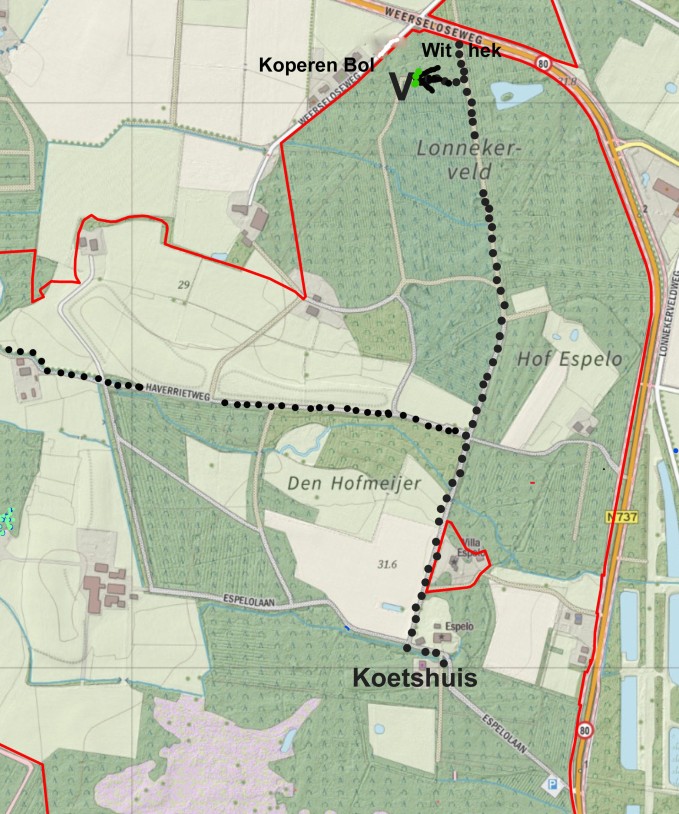 Kaartje Hof Espelo met werkplek bij Koperen Bol